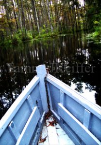 Swamp Boat